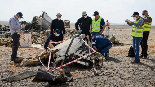 Russian search and rescue team leave Egypt - ảnh 1