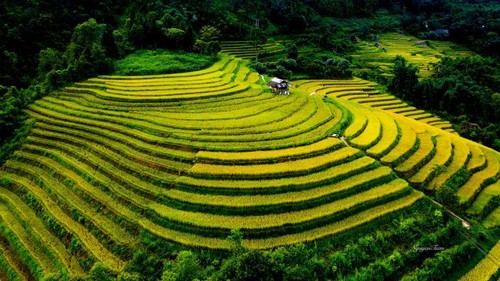 Peaceful beauty of Sapa’s Nam Cang  - ảnh 7