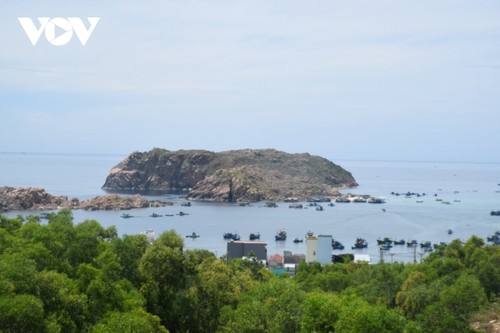 Binh Dinh advocates aquaculture coupled with marine ecotourism     - ảnh 1