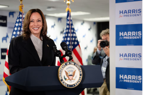 Kamala Harris secures enough delegates for nomination - ảnh 1