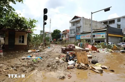 Vietnam receives EU’s humanitarian aid for Typhoon Yagi victims - ảnh 1