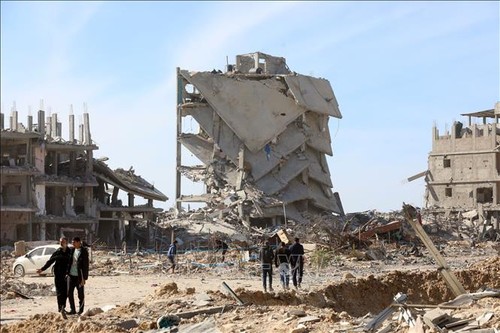 Leaders of France, Egypt, Jordan call for Gaza ceasefire	 - ảnh 1