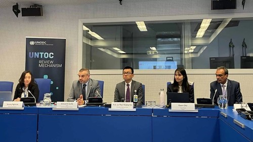 Vietnam co-organizes UN workshop on transnational crime combat - ảnh 1