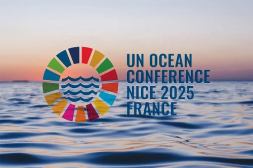 France to host UN Ocean Conference  - ảnh 1