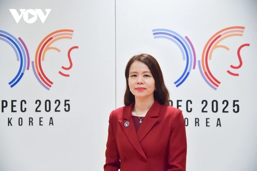 Vietnam’s participation contributes to APEC Week’s success: Deputy FM - ảnh 1
