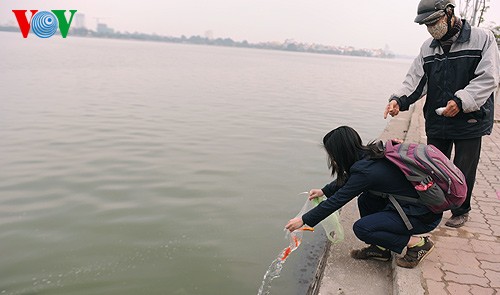 Dorf Thuy Tram: Karpfenzucht für Küchenkönige - ảnh 2