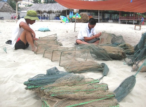 Das Alltagsleben der Fischer am Strand von Hai Hoa in der Provinz Thanh Hoa - ảnh 16