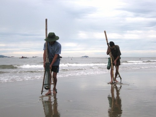 Das Alltagsleben der Fischer am Strand von Hai Hoa in der Provinz Thanh Hoa - ảnh 17