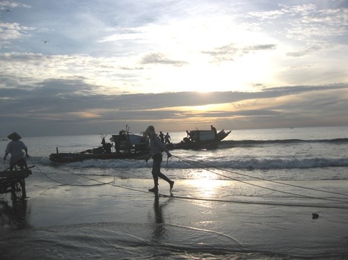 Das Alltagsleben der Fischer am Strand von Hai Hoa in der Provinz Thanh Hoa - ảnh 2