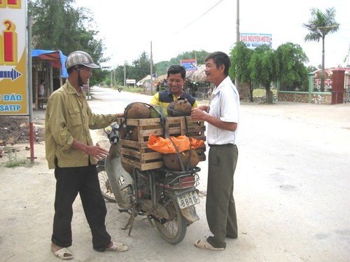 Das Alltagsleben der Fischer am Strand von Hai Hoa in der Provinz Thanh Hoa - ảnh 22