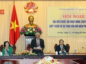 Meinungen der Abgeordneten zur Verfassungsänderung - ảnh 1