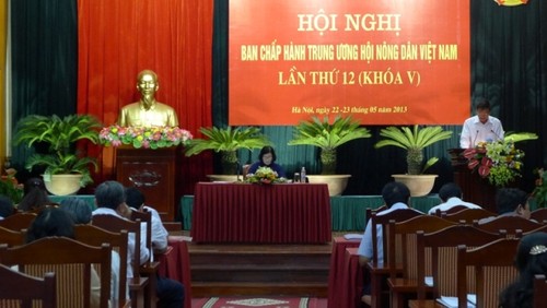 Bauernverband fördert kulturelle Entwicklung - ảnh 1