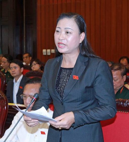 Das Parlament berät das erneuerte Bodengesetz - ảnh 1