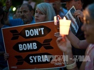 UN-Sicherheitsrat berät über Resolutionsentwurf für Syrien - ảnh 1