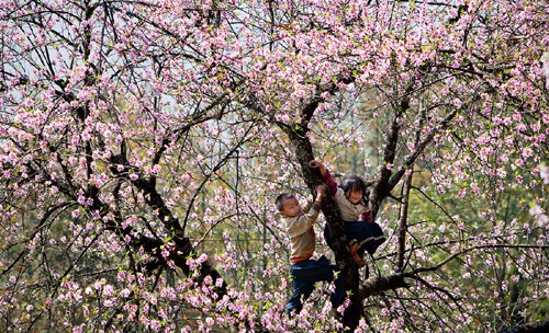 Schöne Momente in der Berggegend Tay Bac - ảnh 15