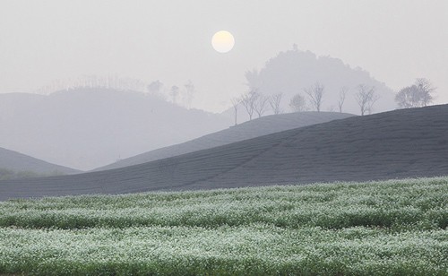 Schöne Momente in der Berggegend Tay Bac - ảnh 8