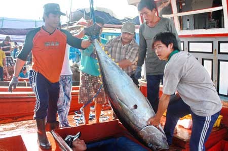 Unterstützung der Fischerei - ảnh 1