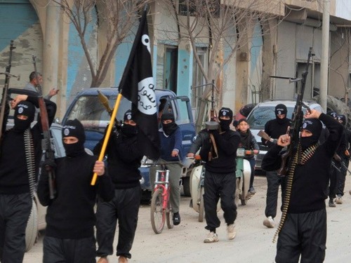 Isil beherrscht wichtige Kreise an der Grenze zwischen Irak und Syrien - ảnh 1