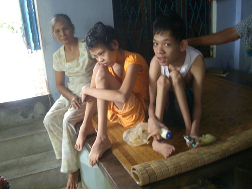 Unterstützung für Agent-Orange-Opfer - ảnh 1