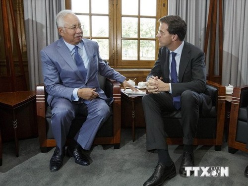 Malaysia und Niederlande rufen Waffenruhe im MH 17-Absturzort auf - ảnh 1