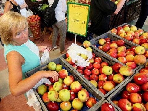 Nach Einfuhrstopp Verlust von fünf Milliarden Euro für die EU - ảnh 1