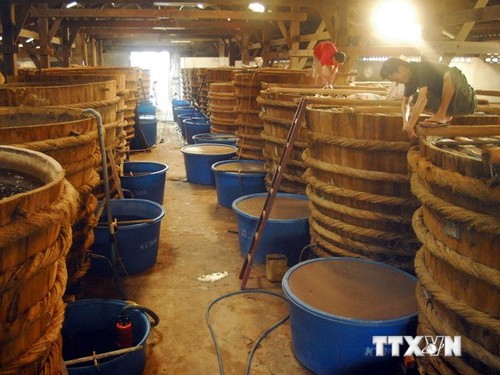 Vietnam, Laos, Kambodscha und Myanmar kooperieren beim Schutz des geistigen Eigentums - ảnh 1