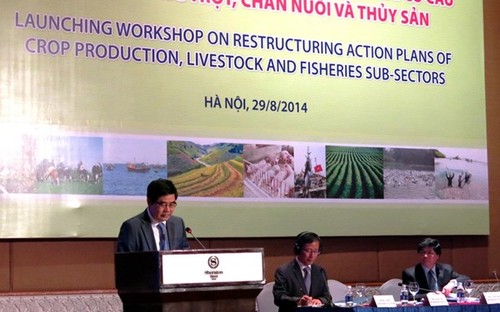 Restrukturierung der Landwirtschaftsproduktion - ảnh 1