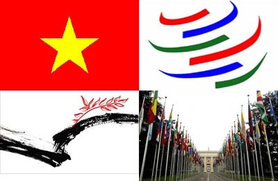 Vietnam: die Vorteile eines WTO-Mitglieds für die Entwicklung wahrnehmen - ảnh 1