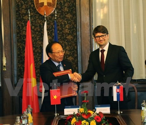 Vietnamesische Kulturtage in der Slowakei - ảnh 1