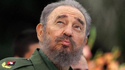 Das Leben und die Karriere des kubanischen Revolutionsführers Fidel Castro - ảnh 14