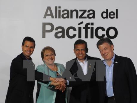 Vietnam verstärkt die Zusammenarbeit mit der pazifischen Allianz - ảnh 1