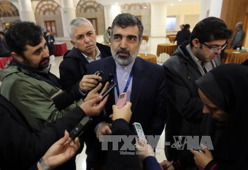 Iran drängt EU zur Entscheidung für Atomabkommen am Ende Juni  - ảnh 1