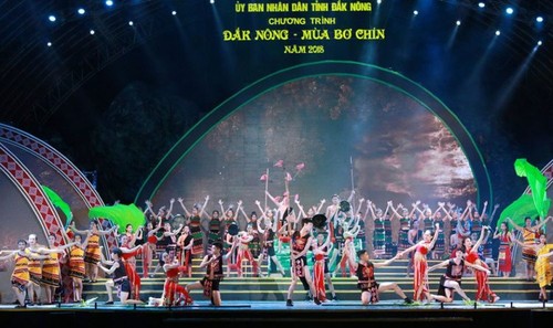 Eröffnung des Programms „Dak Nong- die Saison der reifen Avocado“ - ảnh 1