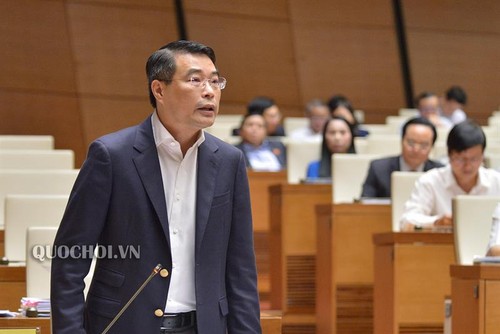 Vervollständigung der gesetzlichen Rahmen gegen Desinformationen im Internet - ảnh 1