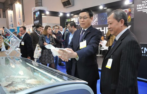 Die Fischerei Vietnams will sich stärker für den Markt in Europa engagieren  - ảnh 1