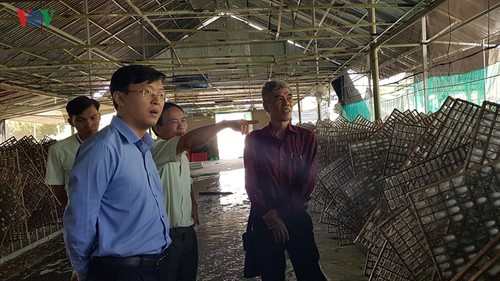 Phuoc Cat: Ein Vorreiter der Neugestaltung ländlicher Räume - ảnh 2