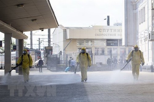 Die Mitgliedsländer der Weltgesundheitsorganisation heben die Solidarität bei Covid-19-Bekämpfung hervor - ảnh 1