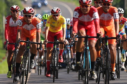 Abschluss des Radrennens Fernseh-Pokal in Ho-Chi-Minh-Stadt - ảnh 1