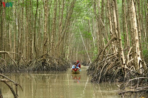 Ca Mau startet den Wettbewerb für Tourismus-Fotos - ảnh 1