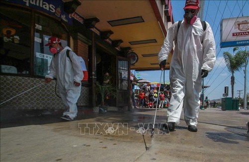 Die USA bestätigen neue hohe Zahl der Covid-19-Infizierten  - ảnh 1