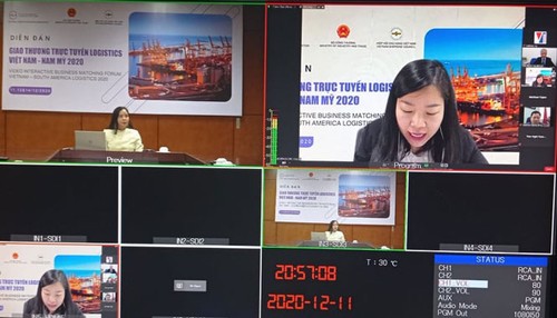 Chance für Zusammenarbeit im Logistik-Bereich zwischen Vietnam und Südamerika - ảnh 1