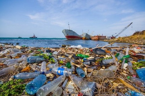 Aufklärung über den Kampf gegen Plastikmüll - ảnh 1