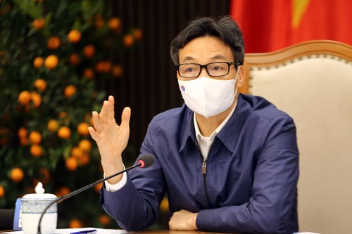 Virtuelle Sitzung zwischen der Regierung und Ho-Chi-Minh-Stadt - ảnh 1