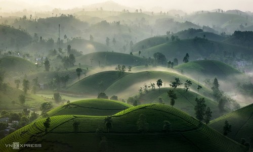 Schönheit der Tee-Hügel Long Coc in der Provinz Phu Tho - ảnh 2