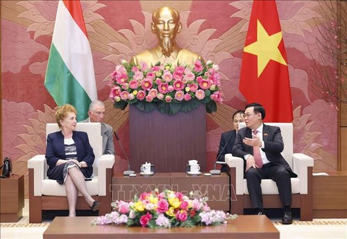 Parlamentspräsident empfängt die ungarische Vize-Parlamentspräsidentin Márta Mátrai - ảnh 1