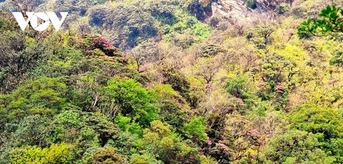 Die Tourismus- und Kulturwoche in der Bergprovinz Lai Chau - ảnh 1