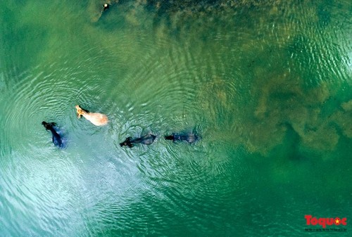 Die Schönheit des Berges „heiliges Auge” in Cao Bang  - ảnh 10