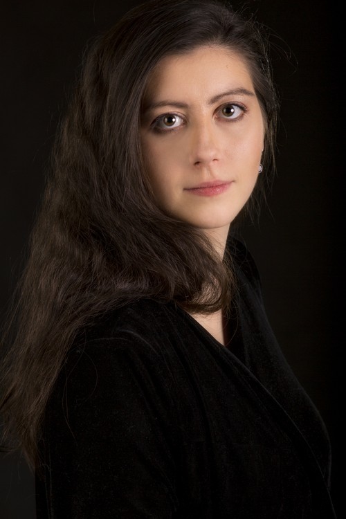 Vietnamesisch stolz zum ersten Mal durch die „Winterreise“ auf der Bühne in Wien präsentiert - ảnh 4