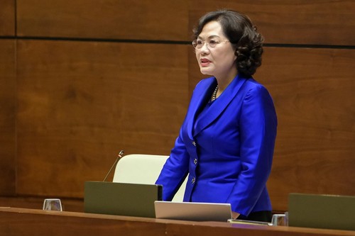 Flexible Regulierung der Währungspolitik für die Entwicklung - ảnh 1