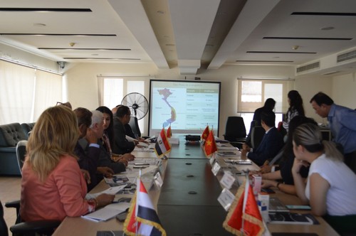 Das Potenzial für Zusammenarbeit in Handel und Wirtschaft zwischen Vietnam und Ägypten - ảnh 1